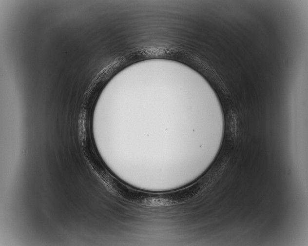 X0000103330590200810061016