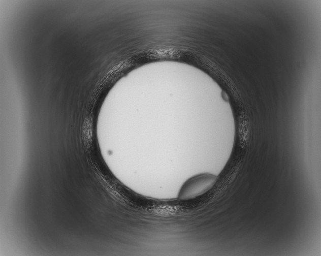 X0000103330593200810061016