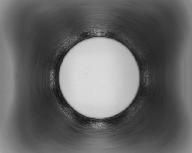 X0000103330594200810061016