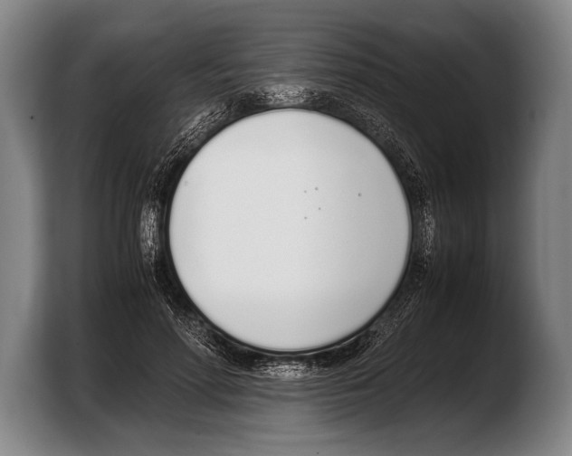 X0000103330598200810061016