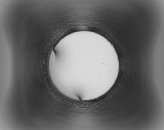 X0000103330599200810061016