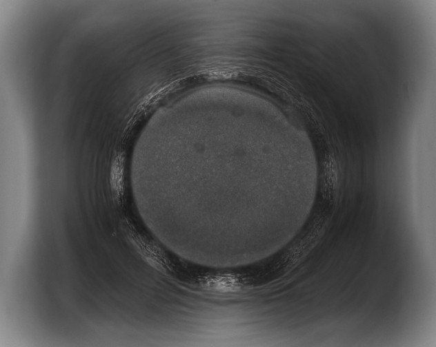 X0000103330600200810061016