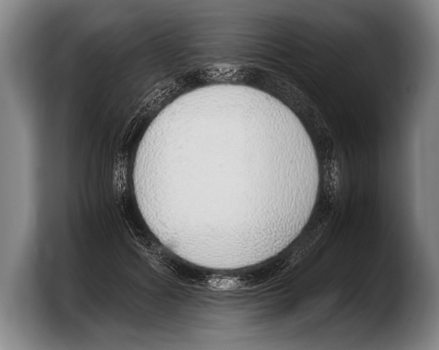 X0000103330602200810061016