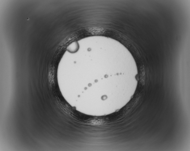 X0000103330604200810061016