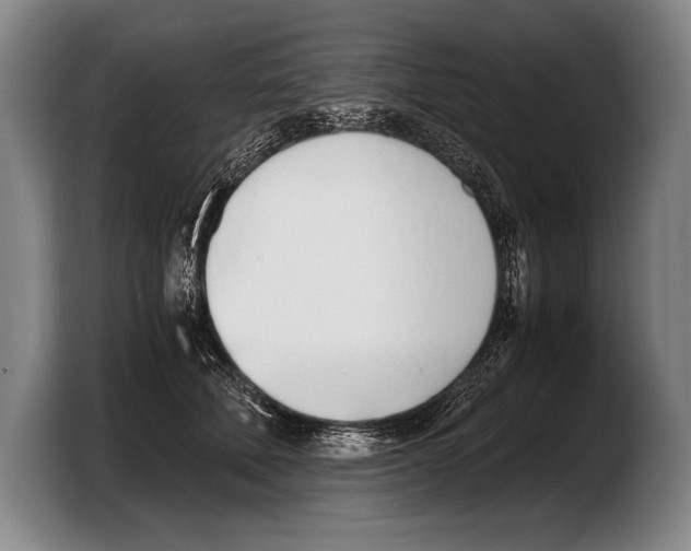 X0000103330610200810061016