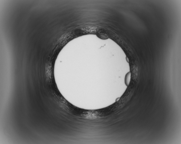 X0000103330612200810061016