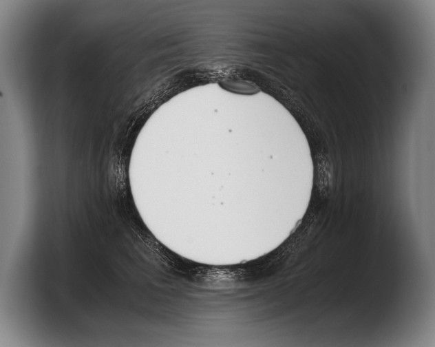 X0000103330613200810061016