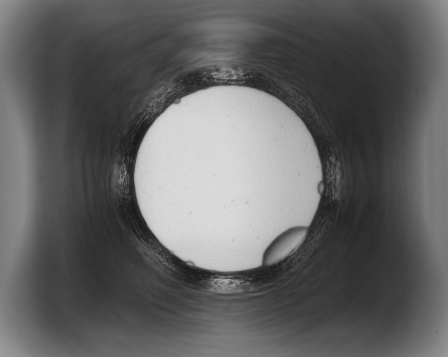 X0000103330614200810061016