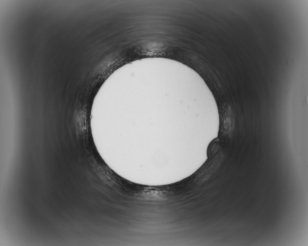 X0000103330620200810061016