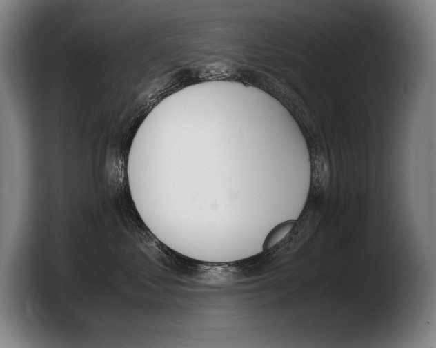 X0000103330621200810061016