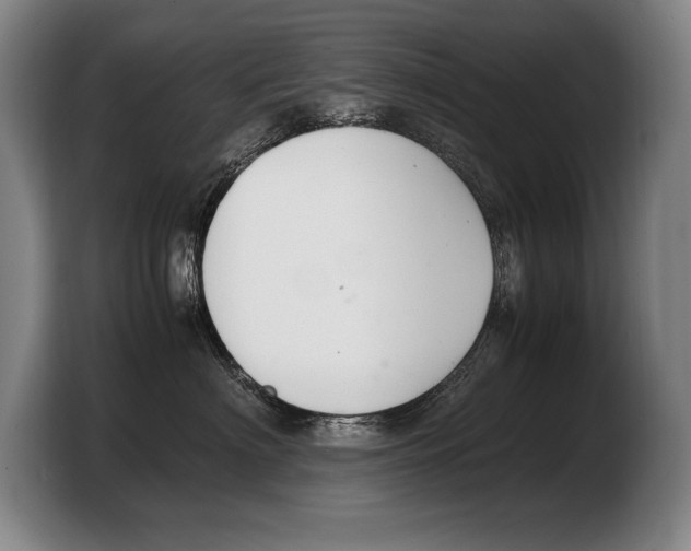 X0000103330622200810061016