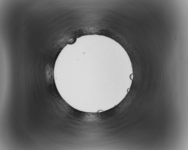 X0000103330624200810061016