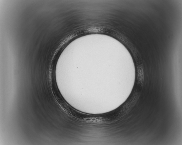 X0000103330626200810061015