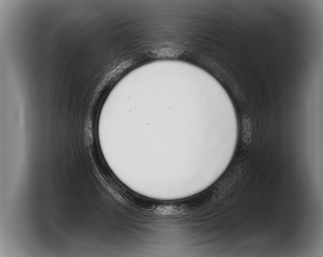 X0000103330634200810061015