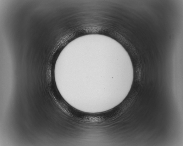 X0000103330638200810061015