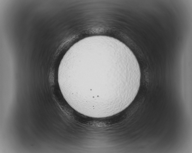 X0000103330640200810061015