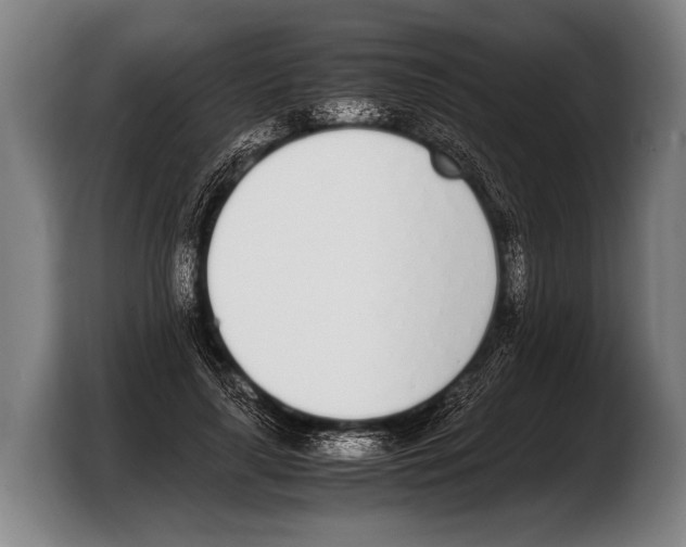 X0000103330643200810061015