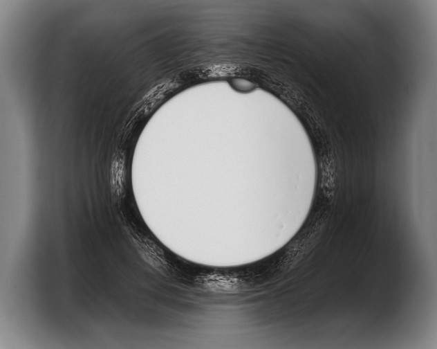 X0000103330648200810061015