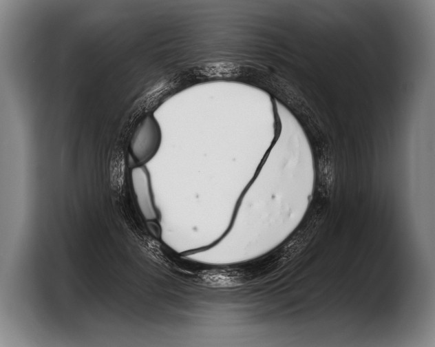 X0000103330652200810061015