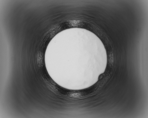 X0000103330653200810061015