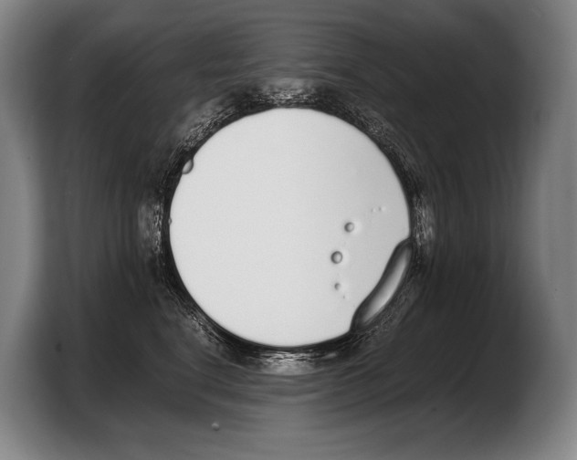 X0000103330664200810061016