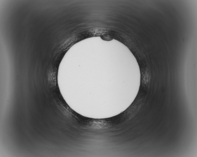 X0000103330666200810061016