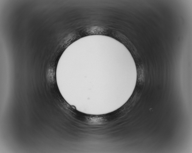 X0000103330669200810061016