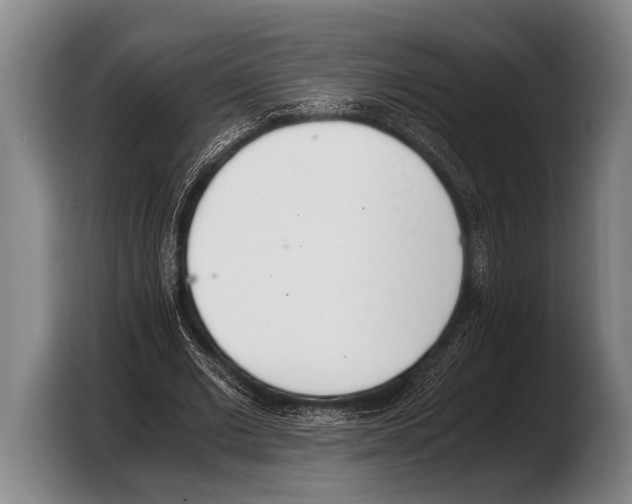 X0000103330677200810061015