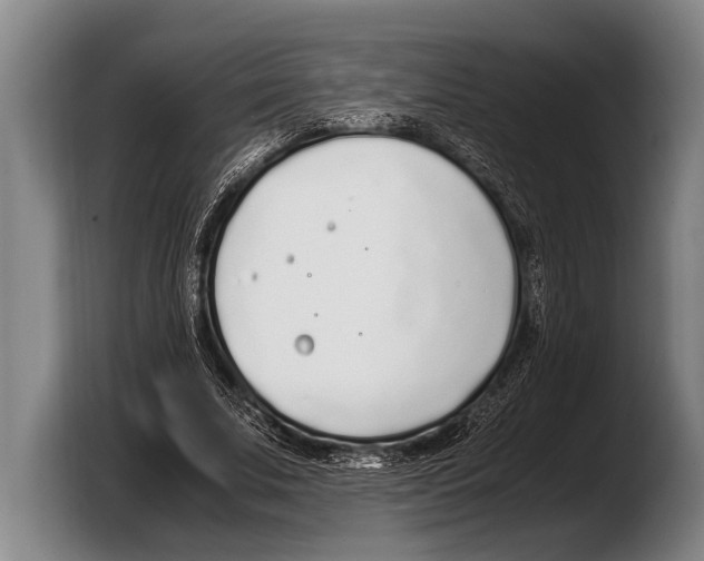 X0000103330679200810061015