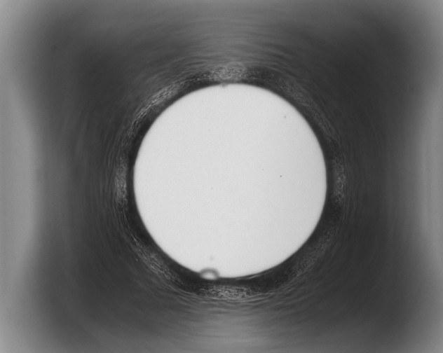 X0000103330681200810061015