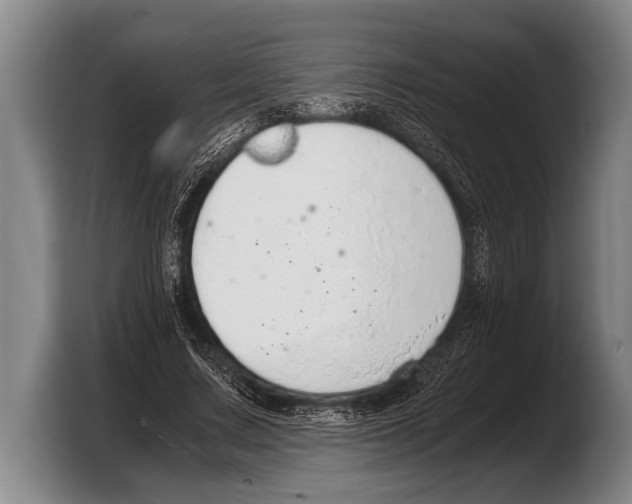 X0000103330683200810061015