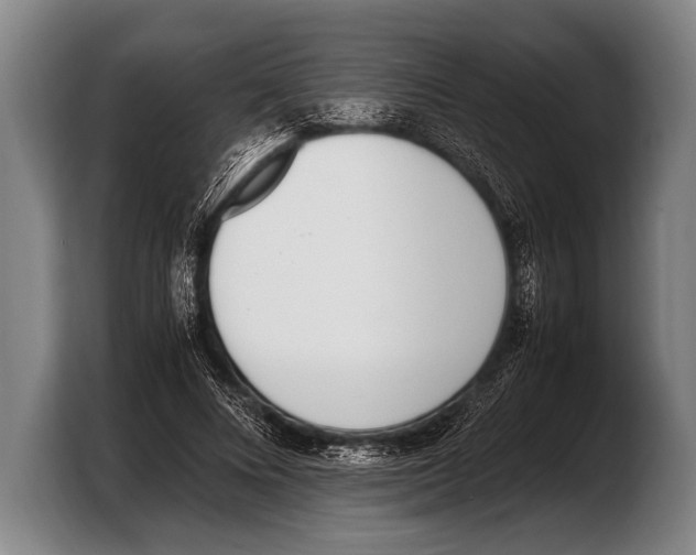 X0000103330688200810061015