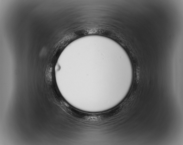 X0000103330691200810061015