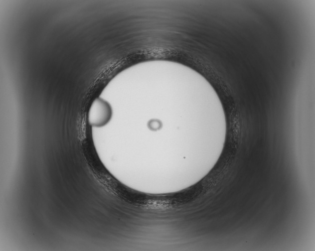 X0000103330694200810061015