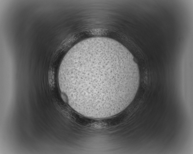 X0000103330696200810061015