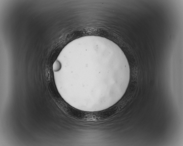 X0000103330703200810061015