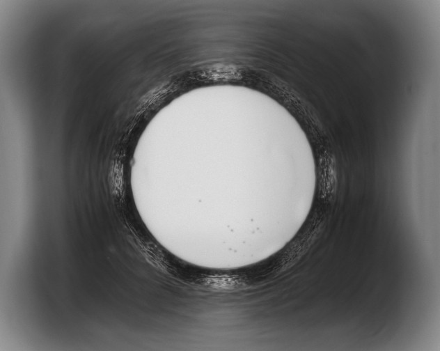 X0000103330704200810061015