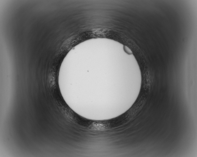 X0000103330706200810061015