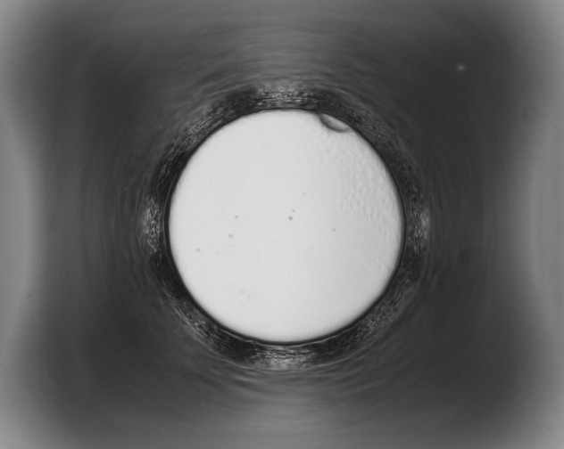 X0000103330707200810061015