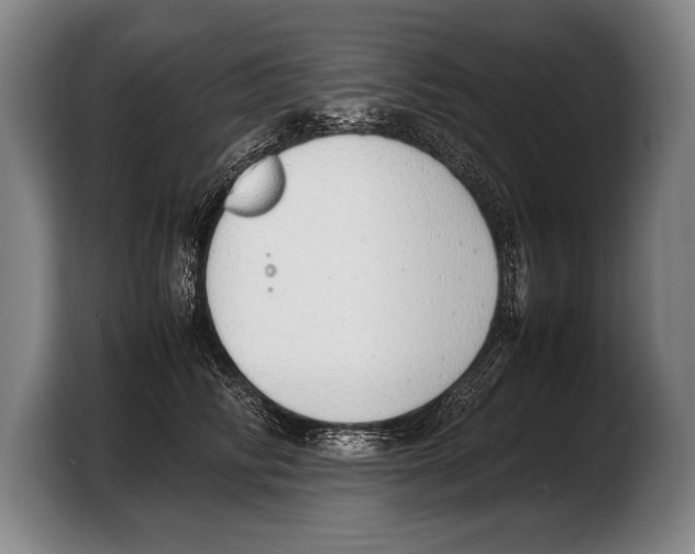 X0000103330710200810061015