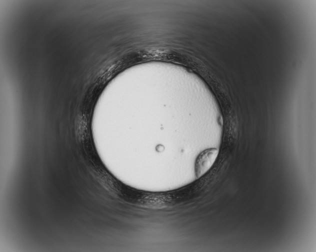 X0000103330711200810061014