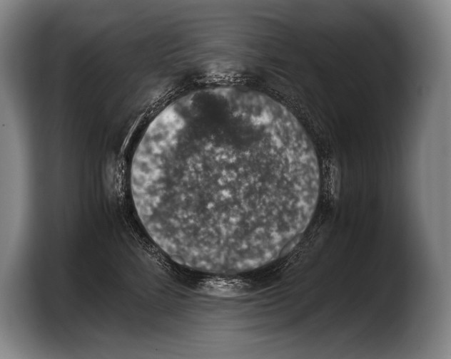 X0000103330712200810061014