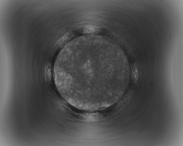 X0000103330716200810061014