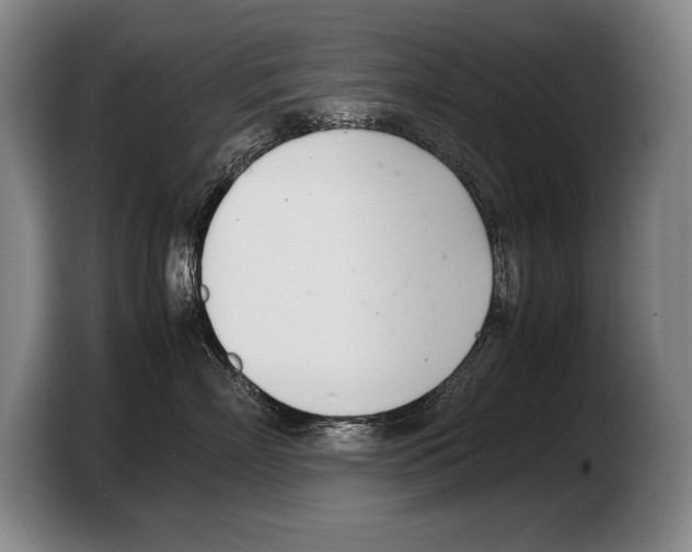 X0000103330718200810061014