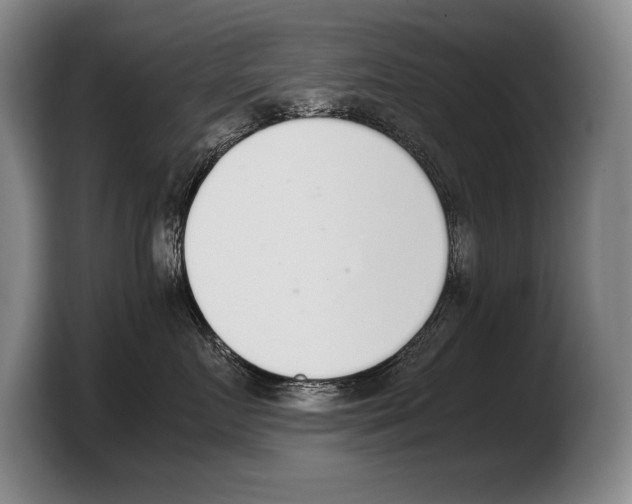 X0000103330719200810061014