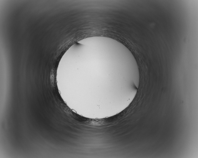 X0000103330720200810061014