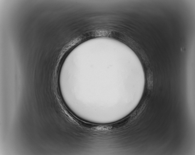 X0000103330721200810061014