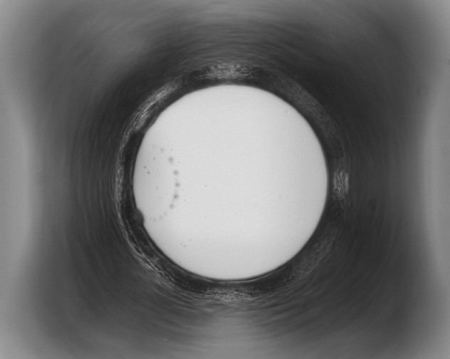 X0000103330724200810061014