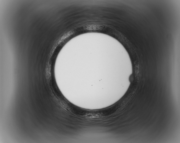 X0000103330727200810061014