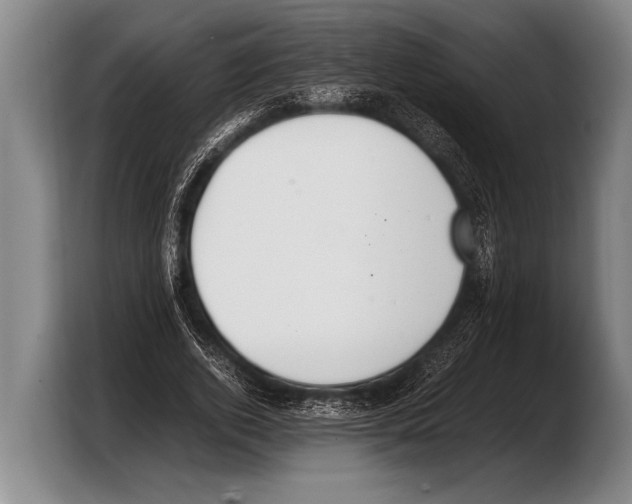 X0000103330728200810061014